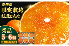  紅まどんな 秀品 5から6個入（JA愛媛たいき管内産） 紅まどんな みかん ミカン 紅マドンナ フルーツ 果物 くだもの みかん 愛媛県大洲市/株式会社フジ・アグリフーズ[AGBA003]