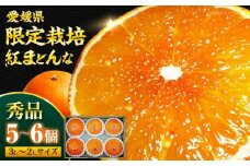  紅まどんな 秀品 5から6個入（JA愛媛たいき管内産）【先行予約】【11月下旬から順次発送】愛媛県大洲市/株式会社フジ・アグリフーズ[AGBA003] 先行予約 みかん ミカン 蜜柑 紅マドンナ 紅まどんな 果物 くだもの フルーツ 愛媛県産 大洲市産 産地直送 おすすめ 人気 お取り寄せ 送料無料 贈答 ギフト