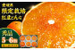 紅まどんな 秀品 5から6個入（JA愛媛たいき管内産）
