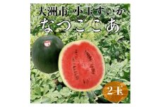 食べやすいサイズ！小玉スイカ「なつここあ」2玉（計6kg以上） 愛媛県大洲市/株式会社フジ・アグリフーズ [AGBA014]すいか スイカ 小玉スイカ 果物 フルーツ