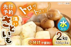 【9月下旬より順次発送】 洗い里芋（水入り）500g×4袋 愛媛県大洲市/沢井青果有限会社 [AGBN033] 野菜 里芋料理 さといも煮 さといも 国産野菜 里芋料理