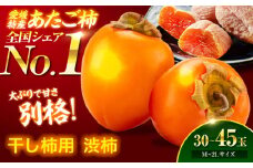 【先行予約】【11月上旬より順次発送】 手作り干し柿用渋柿 あたご柿 10kg(約30玉～45玉) M~2Lサイズ 愛媛県大洲市/沢井青果有限会社 [AGBN022] 果物 フルーツ 柿 干し柿 あたご柿 かき カキ くだもの