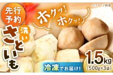 【冷凍】【9月下旬より順次発送】 冷凍 洗い里芋 1.5kg（500g×3袋） 野菜 里芋料理 さといも煮 さといも 国産野菜 里芋料理 愛媛県大洲市/沢井青果有限会社 [AGBN039]野菜 里芋料理 さといも煮 さといも 国産野菜