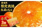 紅まどんな 赤秀 3個入（JA愛媛たいき管内産）