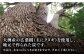 「木炭」約7㎏