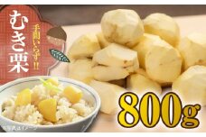【先行予約】【9月下旬より順次発送】ムキ栗 800g（真空パック） 栗 クリ くり くだもの 果物 フルーツ 栗きんとん 栗ご飯 愛媛県大洲市/沢井青果有限会社 [AGBN032]