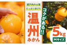 【先行予約】【11月下旬から順次発送】 温州みかん（南柑20号） 5kg 愛媛県大洲市/永沼農園 [AGAW001] みかん 5kg みかんジュース 愛媛 みかん 愛媛みかん 大洲市産みかん 果物 くだもの フルーツ