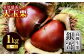 食品 果物 フルーツ 栗 くり クリ 和栗 生栗 むき栗 お菓子 デザート 和菓子  料理 甘露煮 栗きんとん 栗ごはん 渋皮煮