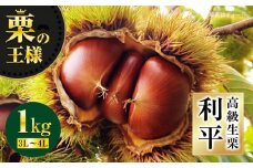 【先行予約】【9月中旬から順次発送】高級生栗「利平」 1kg くり 栗 4l 国産 生栗 果物 フルーツ 栗きんとん 愛媛県大洲市/あじさい農園 [AGAE012] 
