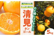 【先行予約】【2025年3月中旬から順次発送】食べ応え抜群！こどもから大人まで楽しめる！清見タンゴール 5kg 愛媛県大洲市/永沼農園 [AGAW005]みかん 果物 フルーツ みかん ミカン オレンジ 清見タンゴール 愛媛みかん 愛媛産