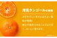 みかん 清見 みかん オレンジ フルーツ ミカン 果物 かき氷 みかんジュース 愛媛みかん こたつ スムージー デザート おやつ