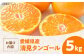 みかん 清見 みかん オレンジ フルーツ ミカン 果物 かき氷 みかんジュース 愛媛みかん こたつ スムージー デザート おやつ