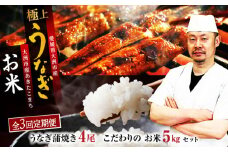 【全3回定期便】「うなぎ蒲焼き 4尾」とこだわりの「お米 5kg」セット 愛媛県大洲市/有限会社 樽井旅館 [AGAH009]うなぎ ウナギ 鰻 手焼き うなぎ ウナギ 鰻 国産 うなぎ ウナギ 鰻 うなぎ蒲焼 鰻重 うな丼 土用の丑 鰻 ウナギ