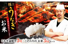 「うなぎ蒲焼き 3尾」とこだわりの「お米 3kg」セット 愛媛県大洲市/有限会社 樽井旅館 [AGAH005]うなぎ ウナギ 鰻 手焼き うなぎ ウナギ 鰻 国産 うなぎ ウナギ 鰻 うなぎ蒲焼 鰻重 うな丼 土用の丑 鰻 ウナギ
