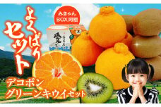 【先行予約】【3月中旬から順次発送】旬の果物のセット！ 愛媛県大洲市産 デコポンとグリーンキウイのセット 愛媛県大洲市/株式会社フジ・アグリフーズ [AGBA010] 果みかん 愛媛みかん 柑橘 果物 キウイフルーツ