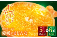 【先行予約】【11月下旬から順次発送】 とろける宝石みかん「まどんな」2Lサイズ5玉又はLサイズ6玉 果物 フルーツ みかん みかんジュース 愛媛県産みかん 愛媛みかん まどんな マドンナ 愛媛県大洲市/峯田農園 [AGBT007]