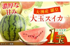 【6月中旬より順次発送】大洲産 羅皇ザ・スウィート（スイカ）2Lサイズ以上 大玉1玉 愛媛県大洲市/沢井青果有限会社 [AGBN008]すいか スイカ 羅皇ザ・スウィート 果物 フルーツ