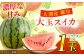 大洲産羅皇（スイカ）2Lサイズ以上 大玉1玉