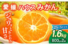 【7月下旬より順次発送】口いっぱいに甘さ広がる！大洲産ハウスみかん（2S～Sサイズ）800g×2袋 愛媛県大洲市/沢井青果有限会社 [AGBN020]果物 フルーツ みかん ミカン ハウスみかん 愛媛みかん 愛媛県 柑橘