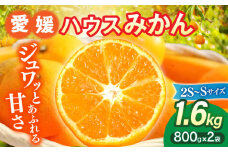 【7月下旬より順次発送】大洲産ハウスみかん（2S〜Sサイズ）800g×2袋 愛媛県大洲市/沢井青果有限会社[AGBN020] 先行予約 みかん ミカン 蜜柑 果物 くだもの フルーツ 愛媛県産 大洲市産 産地直送 おすすめ 人気 お取り寄せ 送料無料 贈答 ギフト