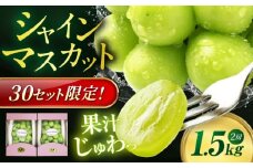 【先行予約】【9月中旬から順次発送】大粒シャインマスカット 約1.5kg（2房）マスカット シャインマスカット 大粒 ぶどう 果物 フルーツ 愛媛県大洲市/愛媛たいき農業協同組合[AGAO014]