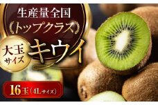 【先行予約】【2025年2月上旬から順次発送】 キウイ フルーツ 大玉 16 玉 （ 赤秀 4L サイズ ） 愛媛県大洲市/愛媛たいき農業協同組合[AGAO002] キウイ 果物 くだもの フルーツ 愛媛県産 大洲市産 産地直送 おすすめ 人気 お取り寄せ 送料無料 贈答 ギフト