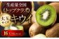 キウイフルーツ 赤秀4L大玉サイズ （16玉入り）