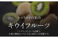 キウイフルーツ 赤秀4L大玉サイズ （16玉入り）