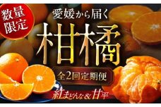 【全2回定期便】【数量限定】紅まどんな＆甘平 柑橘王国・愛媛が誇る柑橘2種の贅沢柑橘定期便！ 2L～4L 赤秀～青秀 3kg箱入(8～12玉) 果物 フルーツ みかん 甘平 まどんな 紅まどんな 紅マドンナ 愛媛みかん 愛媛県大洲市/愛媛たいき農業協同組合[AGAO013]