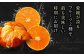 みかん王国愛媛県からの定期便！【全2回定期便】紅まどんな＆甘平 贅沢柑橘セット