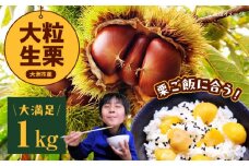 【先行予約】【9月中旬から順次発送】高級和栗 大粒生栗 1kg くり 栗 生栗 国産 生栗 果物 フルーツ 栗きんとん 愛媛県大洲市/あじさい農園 [AGAE009] 