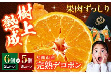 【先行予約】【3月下旬から順次発送】樹の上で熟成！ 愛媛県大洲市産「完熟デコポン」5～6個 愛媛県大洲市/株式会社フジ・アグリフーズ [AGBA008] みかん 愛媛みかん 柑橘 果物 フルーツ