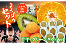 【先行予約】【2月上旬から順次発送】旬の果物のセット！愛媛県大洲市産 甘平とグリーンキウイのセット 愛媛県大洲市/株式会社フジ・アグリフーズ [AGBA011] キウイ きうい キューイ kiwi ヘイワード カンペイ かんぺい