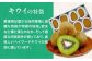 カンペイ かんぺい キウイ フルーツ かき氷 果物 スムージー おやつ ジュース キウイフルーツ 手作りスイーツ デザート