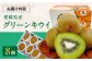 カンペイ かんぺい キウイ フルーツ かき氷 果物 スムージー おやつ ジュース キウイフルーツ 手作りスイーツ デザート