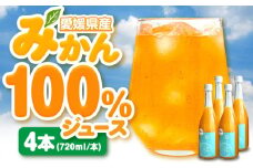 果実そのままの味わい！不知火果汁100％みかんジュース 720ml×4本 愛媛県大洲市/玉川農園 [AGBC001]果物 愛媛みかんジュース フルーツ みかんジュース ミカンジュース 果汁100％ ストレートジュース オレンジ