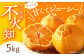 不知火 5kg 