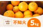 不知火 5kg 
