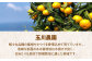 不知火 5kg 