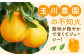 不知火100％！ジュース　720ml×6本