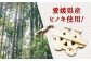 木組み体験コースター 六角