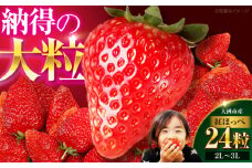 【先行予約】【2025年1月上旬～から順次発送】自分へのご褒美に！大洲の厳選高級いちご「紅ほっぺ」×24粒 愛媛県大洲市/有限会社西山青果 [AGAR001]苺 いちご イチゴ 果物 フルーツ イチゴ 紅ほっぺ