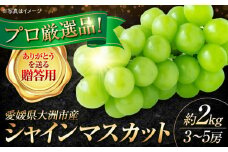 【9月上旬より順次発送】【贈答用】シャインマスカット 約2kg（3～5房） シャインマスカット ぶどう ブドウ 葡萄 果物 フルーツ シャインマスカット 2kg 愛媛県大洲市/沢井青果有限会社[AGBN044] 