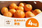 温州みかん 早生 約4㎏