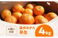 温州みかん 早生 約4㎏