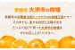温州みかん 南柑20号 約4㎏