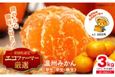 温州みかん 3kg SからLサイズ混合 （20から35個入） 温州みかん みかん 果物 フルーツ 柑橘 愛媛県大洲市/有限会社いのうえ果樹園[AGBV002]