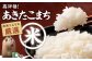 新米 お米 ご飯 おにぎり ごはん 白米 野菜 和食 おコメ おこめ 国産 お米 10kg 米  ご飯 精米 白米 あきたこまち