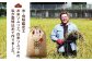 新米 お米 ご飯 おにぎり ごはん 白米 野菜 和食 おコメ おこめ 国産 お米 10kg 米  ご飯 精米 白米 あきたこまち