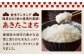 新米 お米 ご飯 おにぎり ごはん 白米 野菜 和食 おコメ おこめ 国産 お米 10kg 米  ご飯 精米 白米 あきたこまち